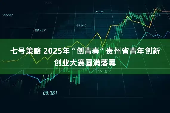 七号策略 2025年“创青春”贵州省青年创新创业大赛圆满落幕